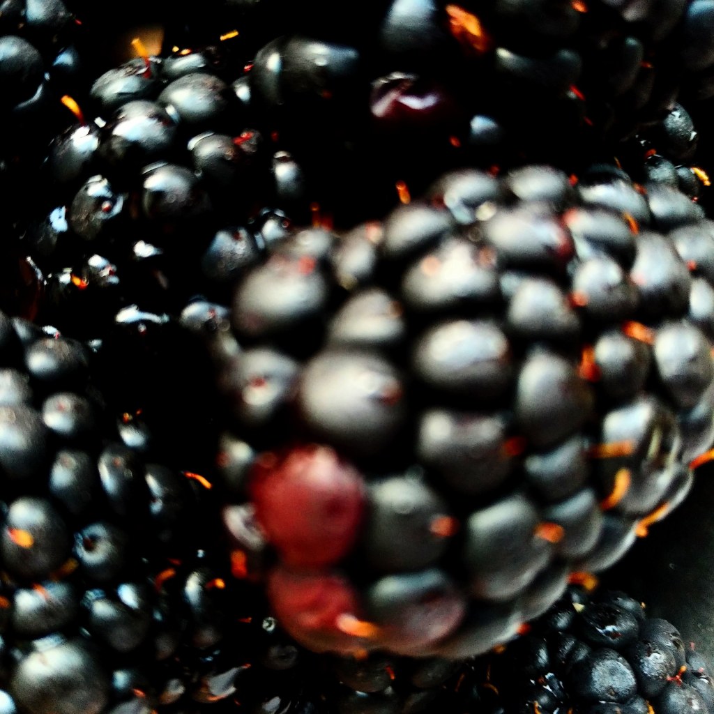 Art by ©Milana Vujkov