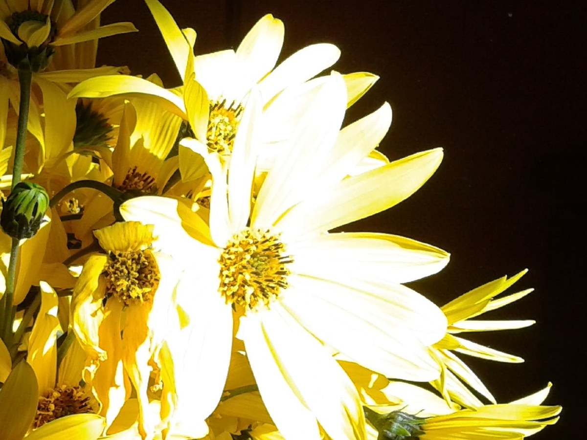 Emotional Archaeology