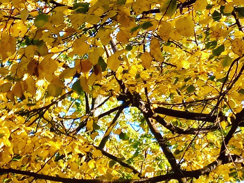 The Man Who Hated&nbsp;Embraces