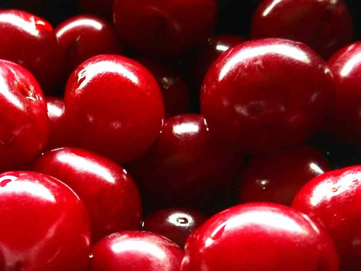 Windmills Of Our&nbsp;Mind