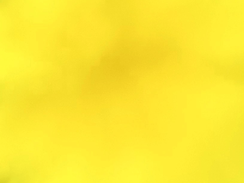 Forty Days, Forty Nights – Goddess&nbsp;Descends